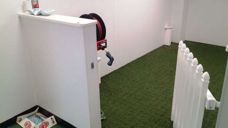 Площадка для питомцев