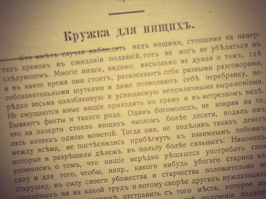 GFRANQ KALINA RED 52289355 FIR-CONE