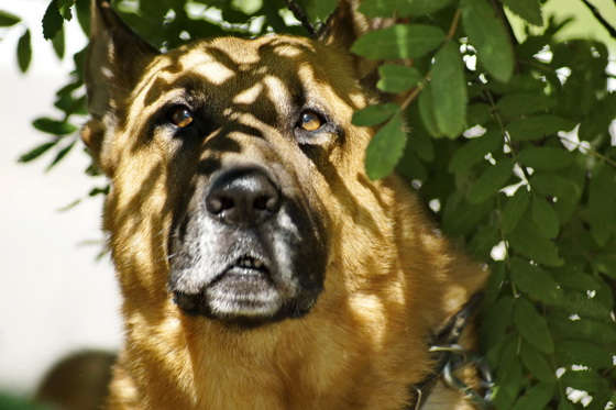 dsc9809-novyj-razmer