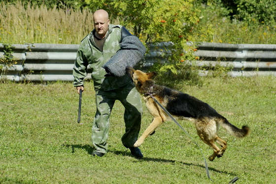 rabota-na-zaderzhanie-2