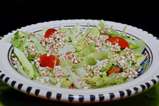 dsc00229-novyj-razmer-novyj-razmer