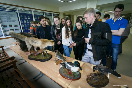 20150519 uporotyj lis 003