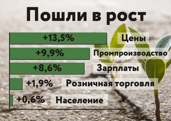 risunok1