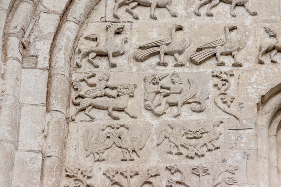 west-pardus-chel-drak