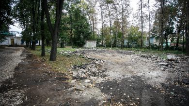 20150831 tsentralnyj park 2