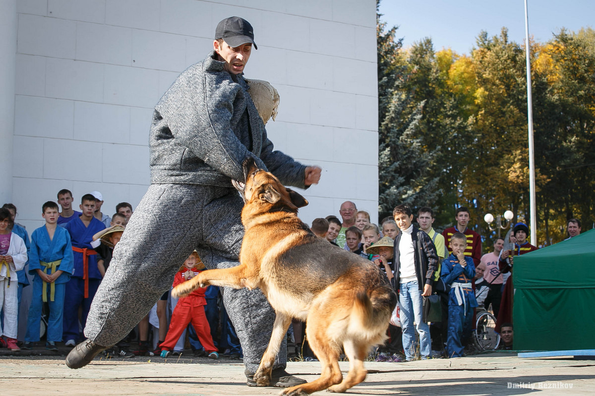 20150918 dobrosammit 75