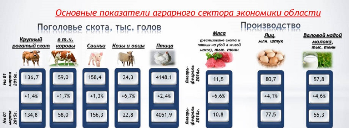 Светлане Орловой доложили, как растет сельское хозяйство 33-региона selo2 1