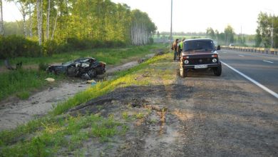 За три дня маршрутные автобусы Владимира сбили трех пешеходов