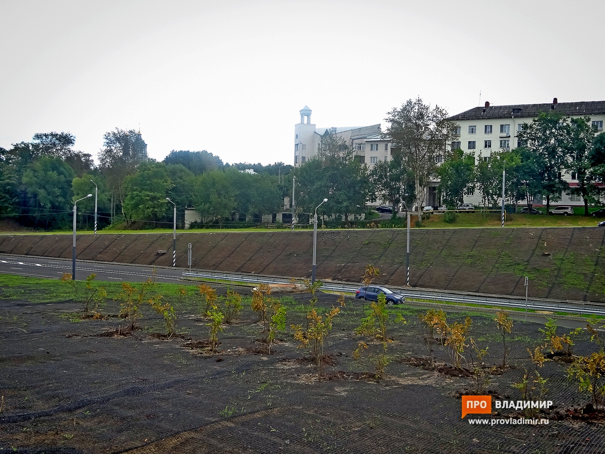 20160815 bez imeni 4