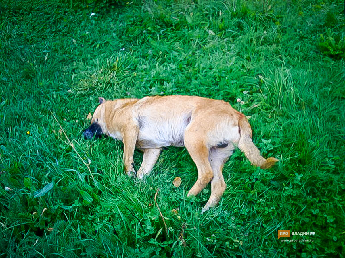 20160928 photo 2016 09 28 13 06 21