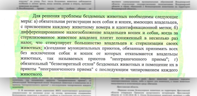 Владельцев собак и кошек обложат налогом? slai d 1