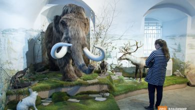 ci5knb2v7g 1463924278