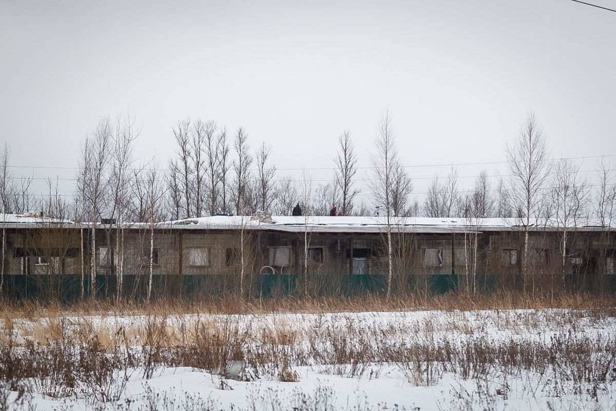 20170224 25без имени2017 17