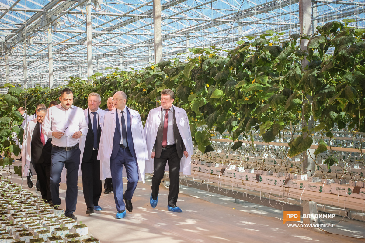 1 20170315 Владимир Киселев Петушки 001