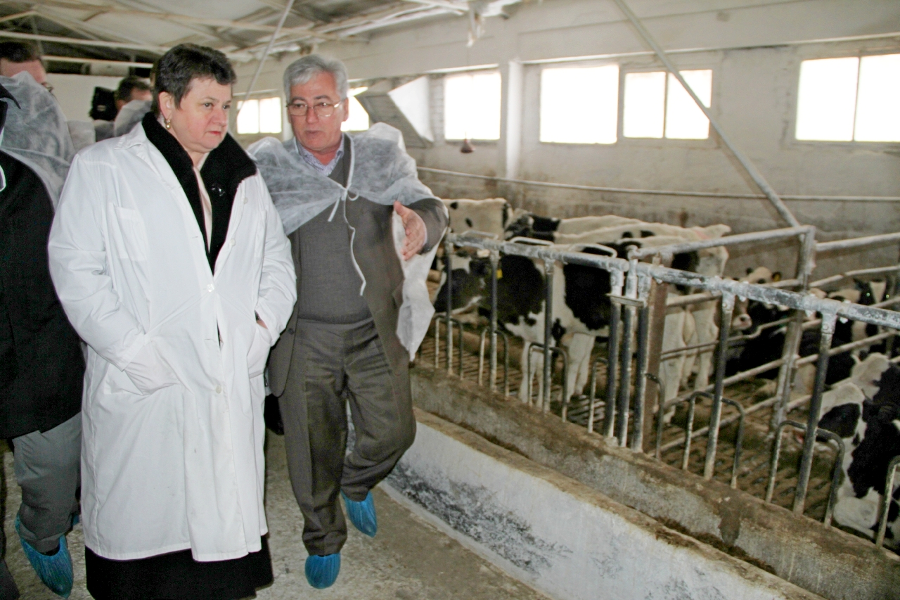 img 5287 jpg thumbnail0