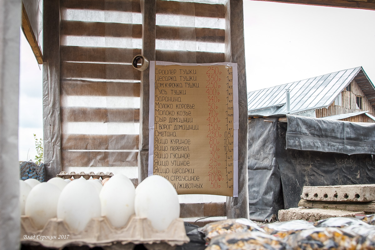 20170526 48без имени2017 69