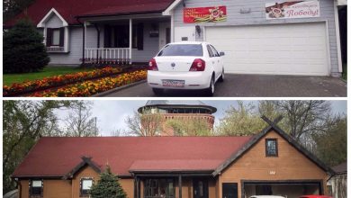 американский вишня