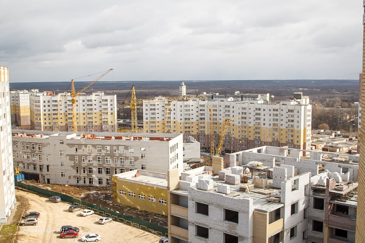 pg1q5fy5bo 1497011048