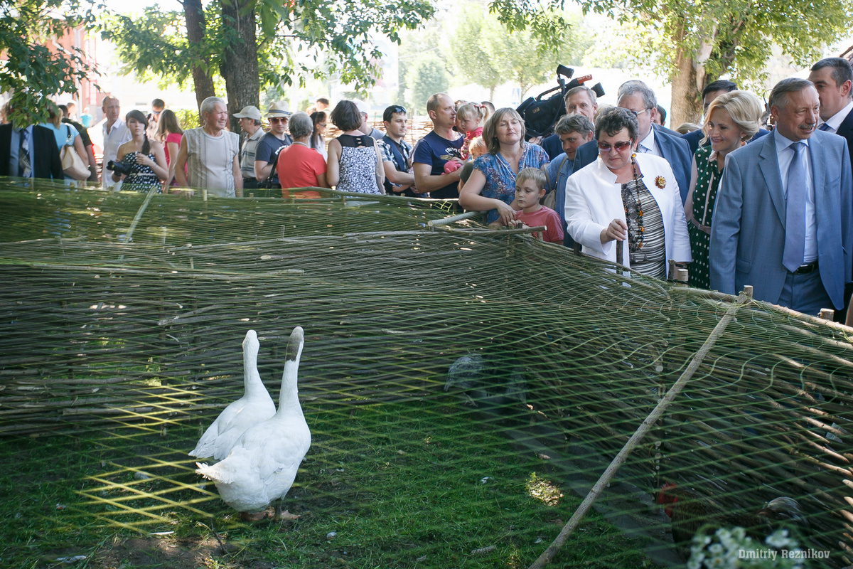 xc8ghjo11x 1436128083