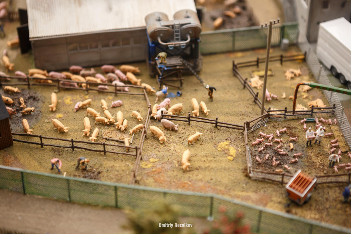 20170802 Гранд макет 032