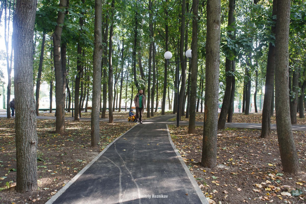 20170826 День города сквер Шохин Деева 002