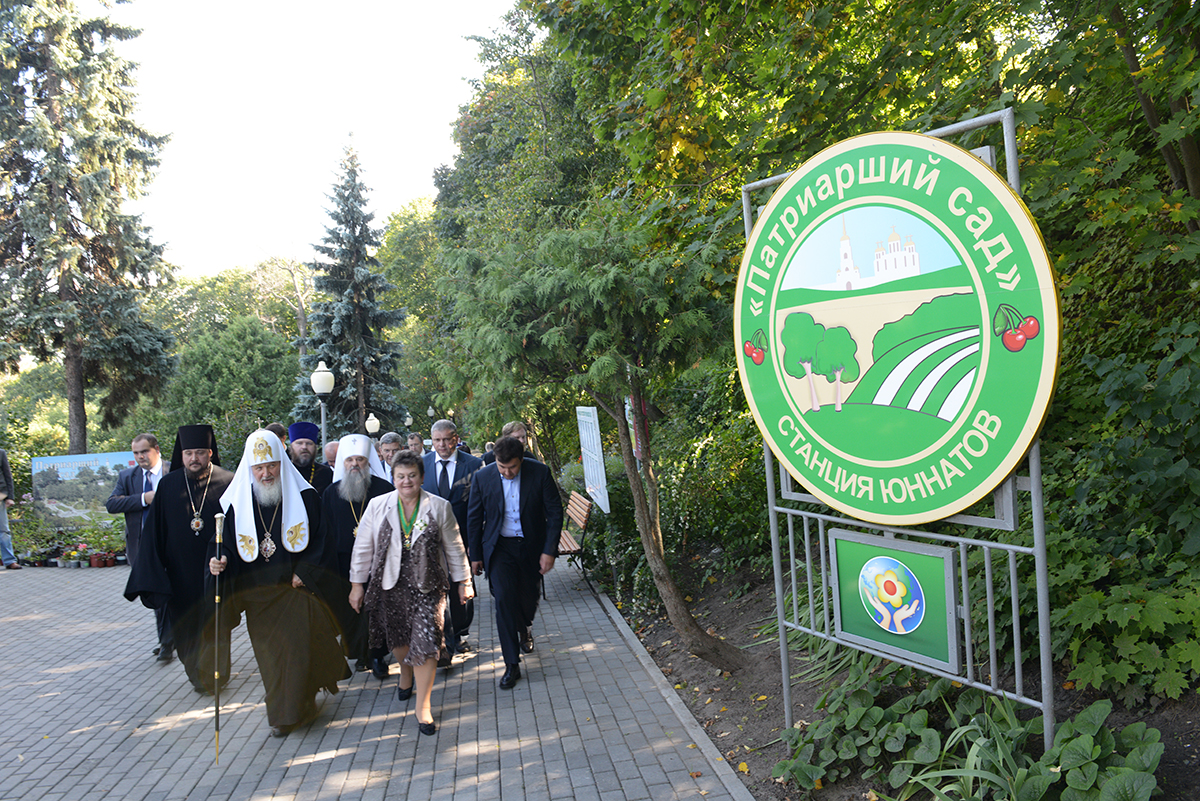 2p20140907 vsn 2333 1200