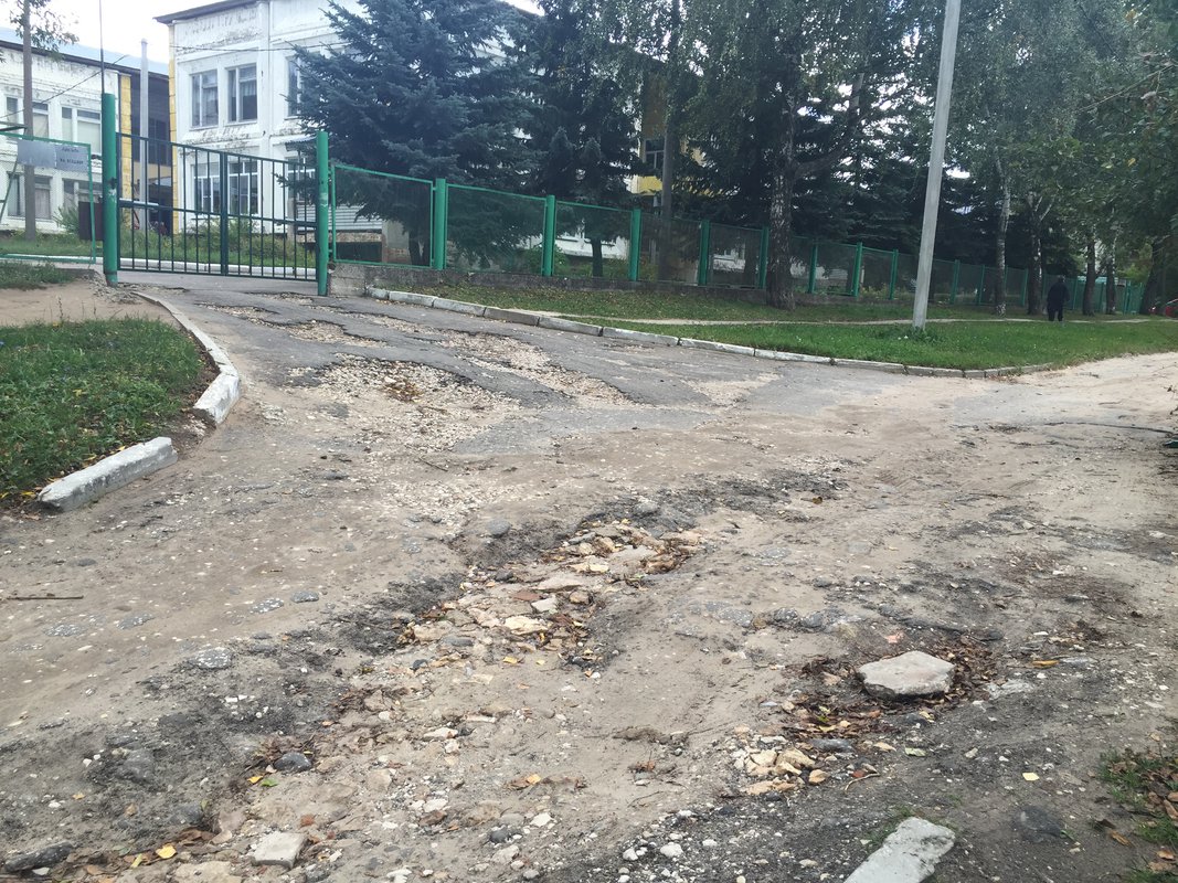 IMG 6438.JPG.0x800 q85 crop