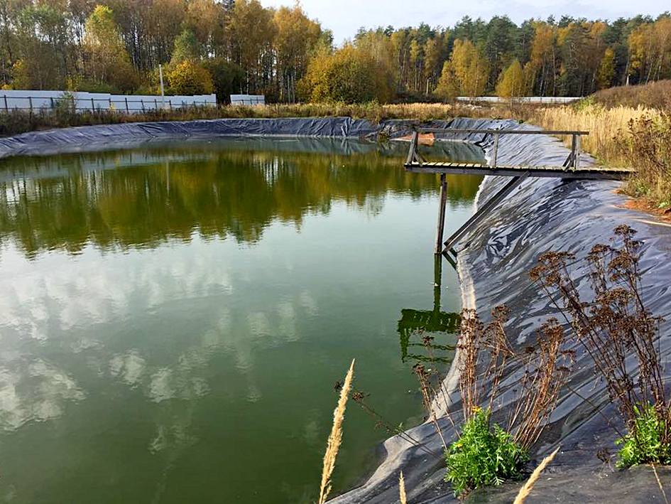 22365553 777933449055503 4625431479718082782 n