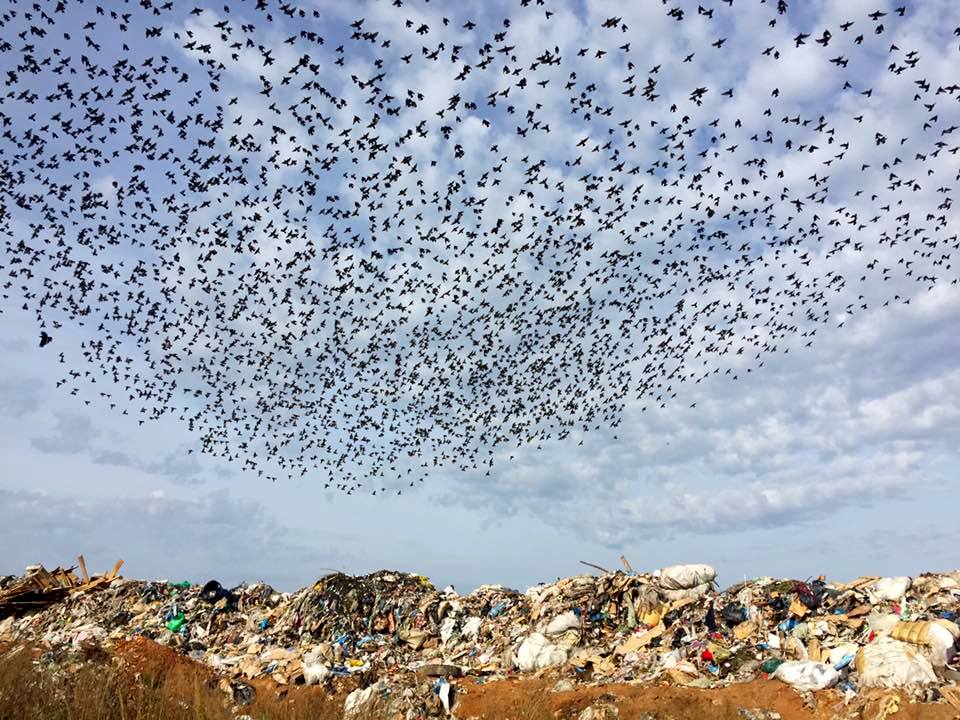 22366602 777933389055509 1039380374999540613 n