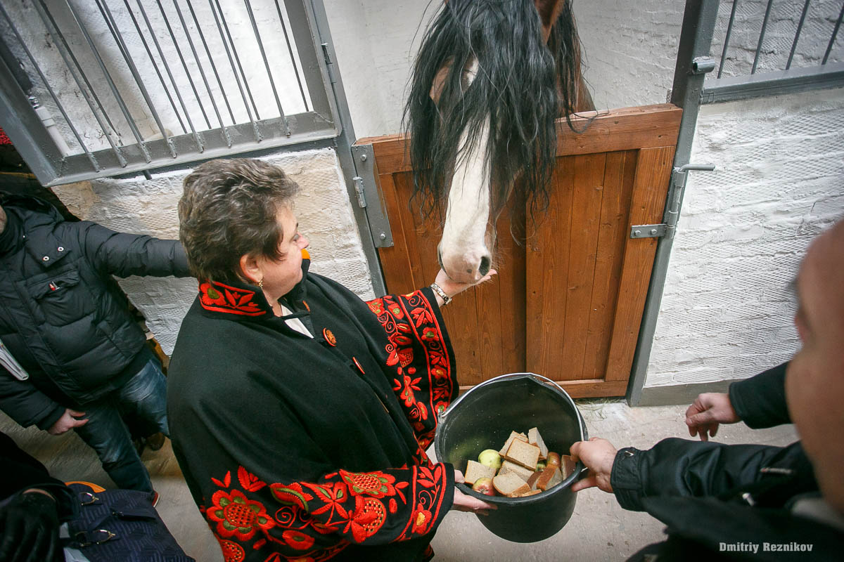 zoz1y7pnp2 1444393037