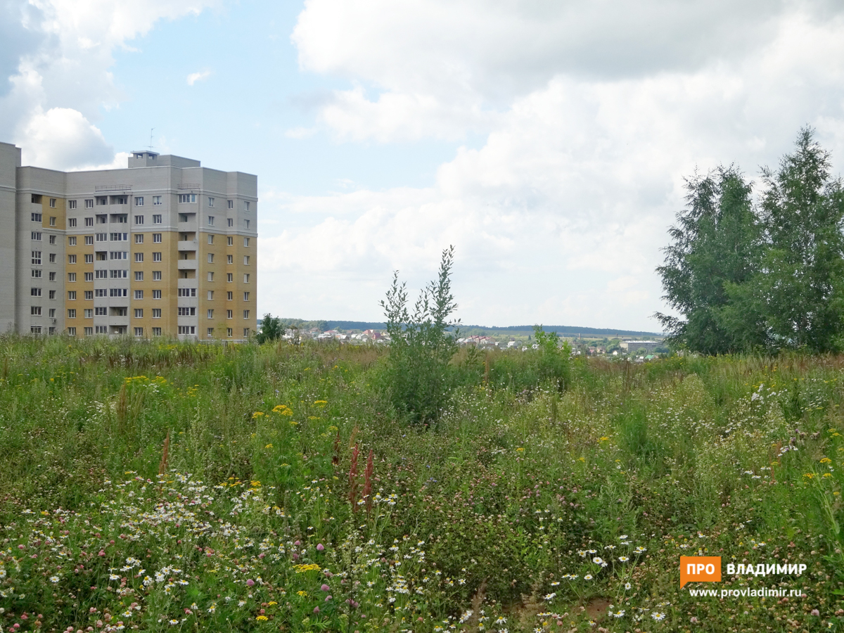 yb9z4co0yf 1501660790