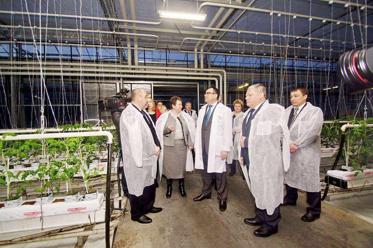 d9c68fthrl 1419927379