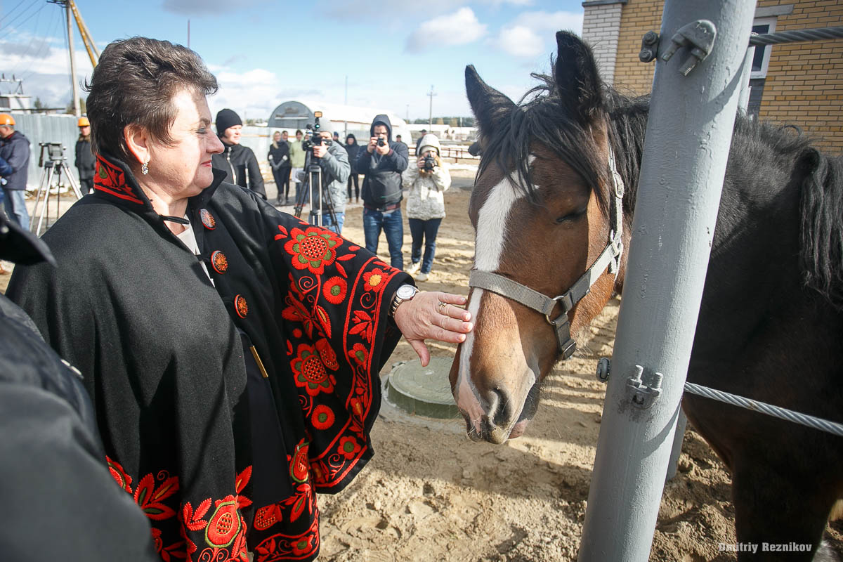 1m6kysq8qi 1444393045