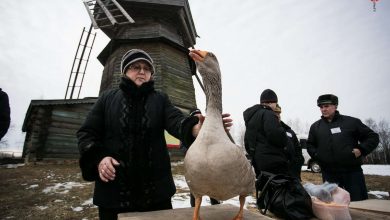 axpx0qbr49 1393705252