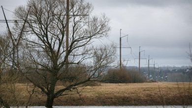 photo 2018 02 26 12 21 09