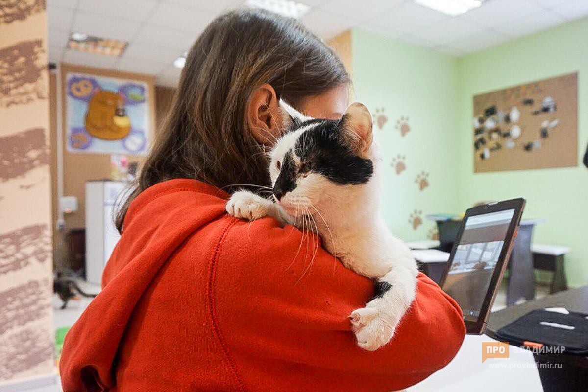 20180329 котокафе 11