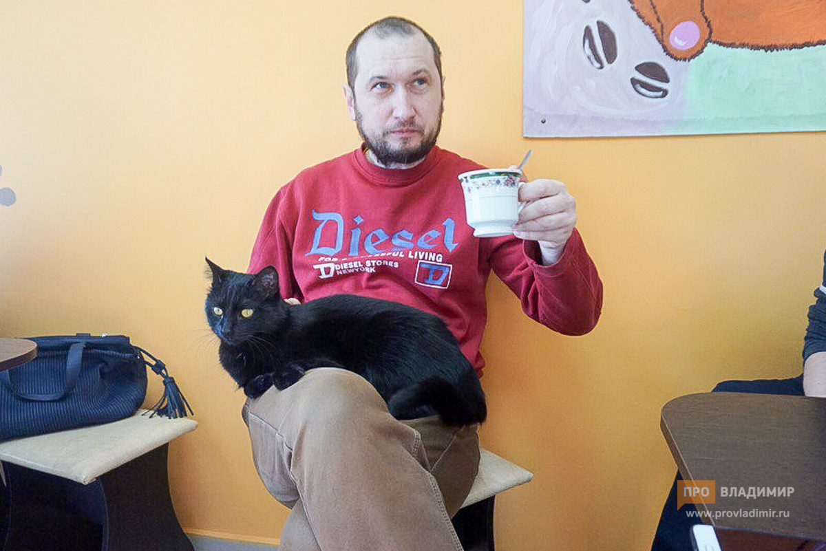 20180329 котокафе 7