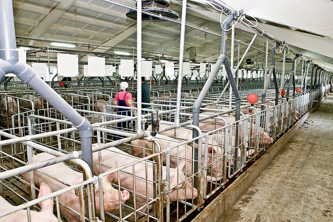 m0dp81hgau 1516953946