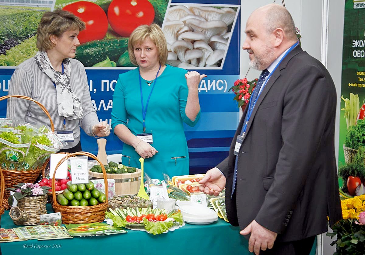 ijk7opl86f 1455191888 copy