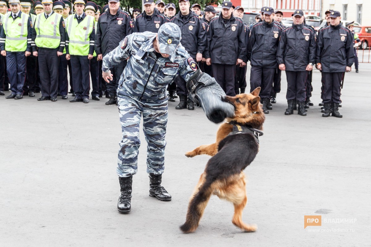 Полицейские отпраздновали 300-летие на Соборной площади