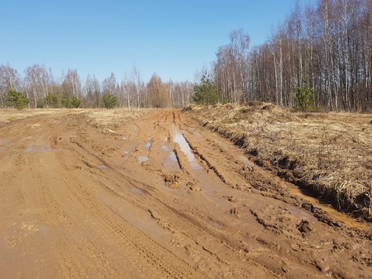 Как в средневековом Париже. Окраины Владимира не страдают от обилия асфальта