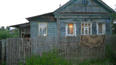 В алкогольном угаре камешковец зарезал сожителя дочери