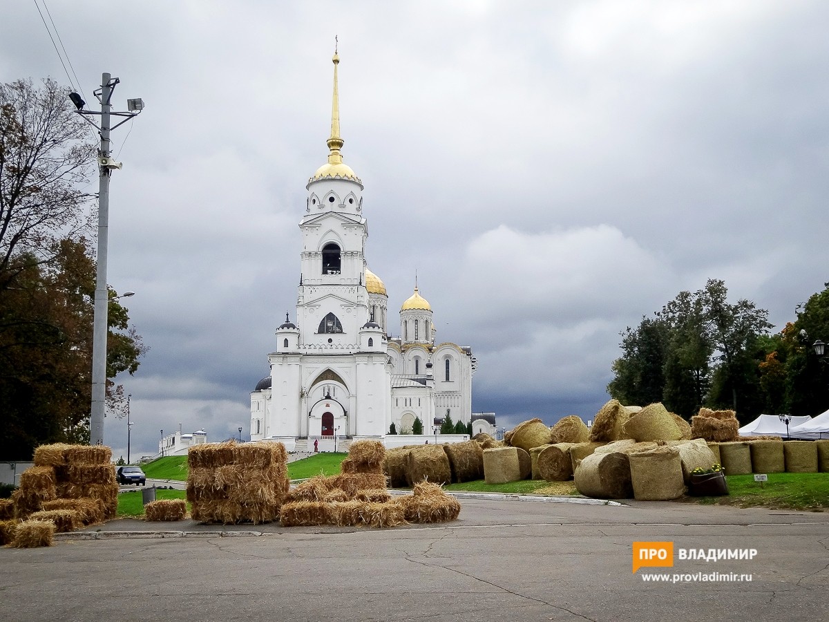 Лучше, чем везде. Какой Светлана Орлова обещала сделать Владимирскую область?