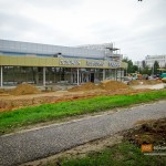 Ради обзора ледового дворца во Владимире проредили липовую аллею