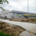 Ради обзора ледового дворца во Владимире проредили липовую аллею