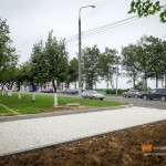Ради обзора ледового дворца во Владимире проредили липовую аллею
