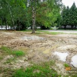 Ради обзора ледового дворца во Владимире проредили липовую аллею