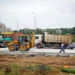 Ради обзора ледового дворца во Владимире проредили липовую аллею