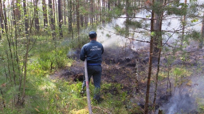 Из-за лесного пожара в 500 га на трассе М-7 ограничили скорость