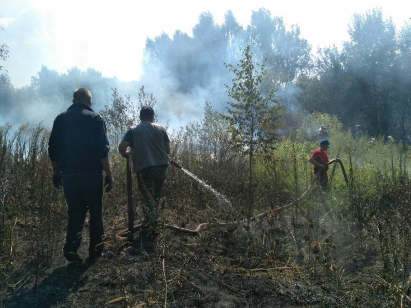 Во Владимирской области сгорели пять гектаров леса Минобороны